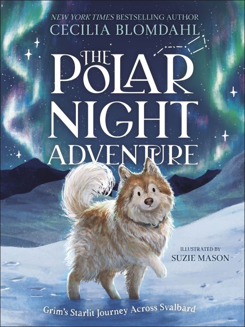 The polar night adventure