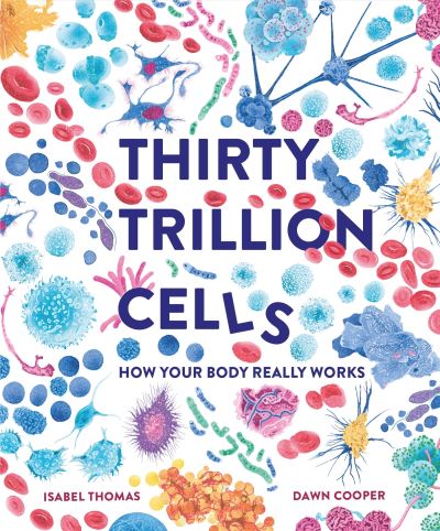 Thirty trillion cells Thirty trillion cells