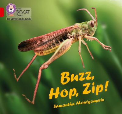 Buzz, hop, zip!