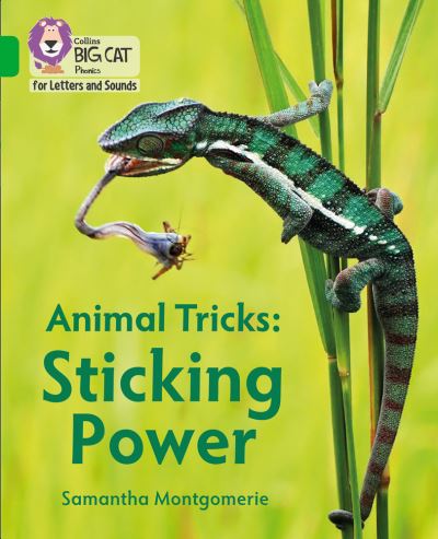 Animal tricks