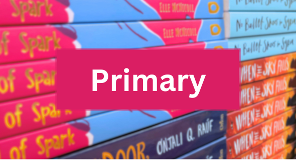 Primary class sets | Year 3 class reads