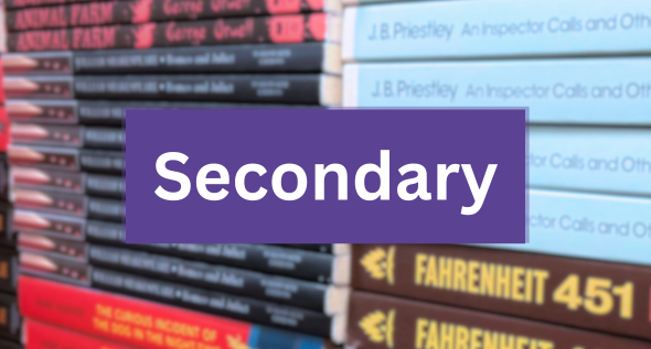 Secondary class sets | popular fiction books for young adults