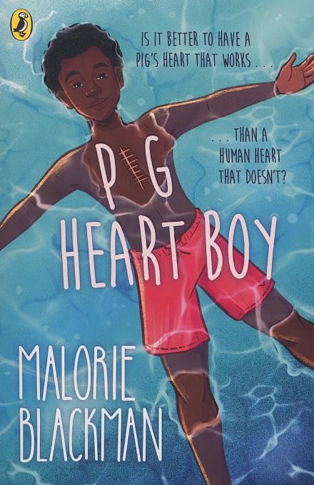 Pig-heart boy book cover, a recommended book for teachers