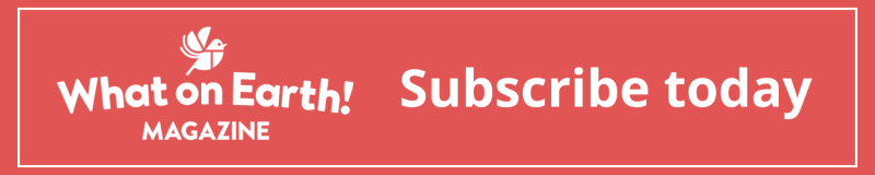 What on Earth Magazine for schools and libraries subscription